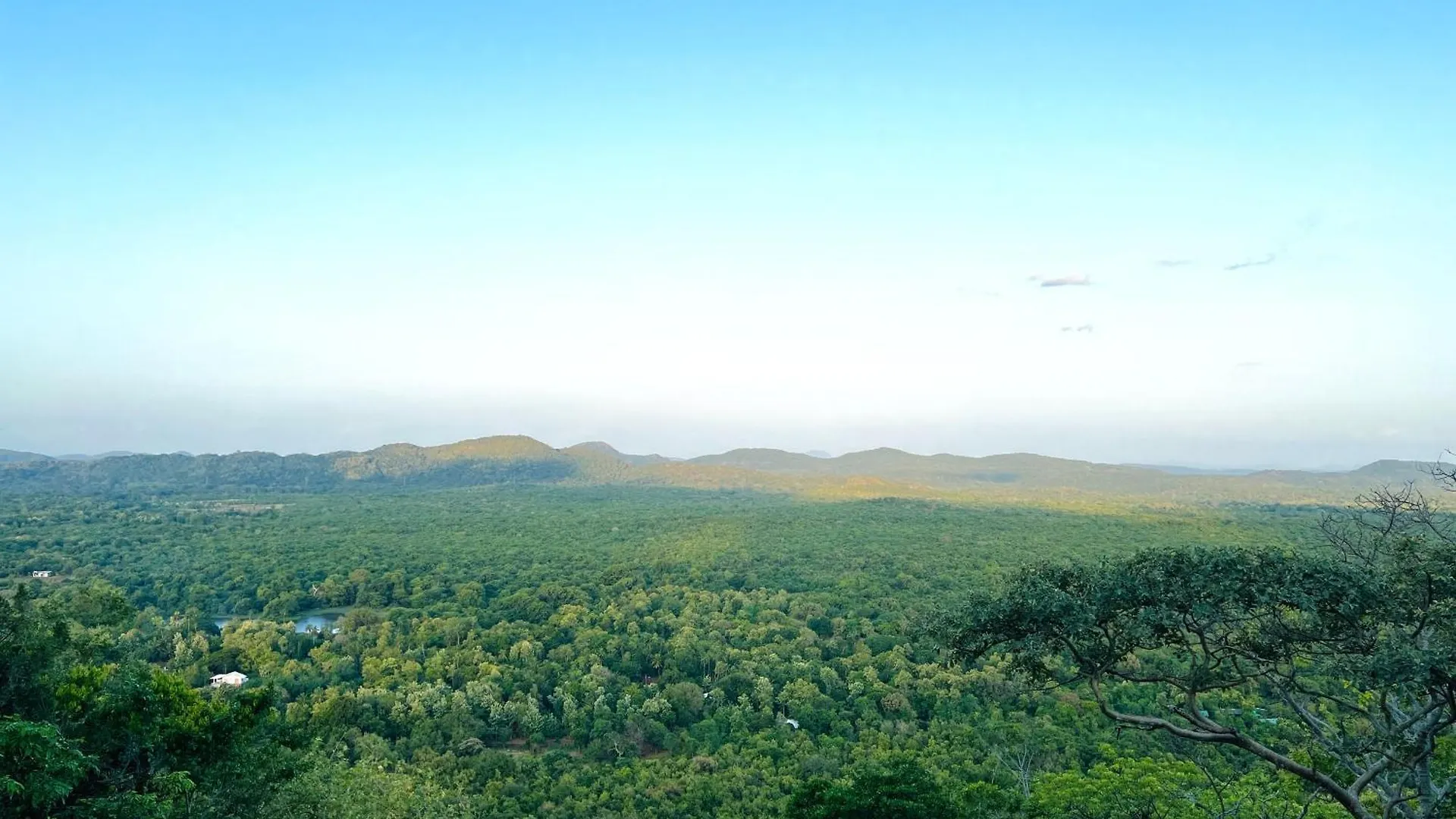 Sigiri Vananthara Sigiriya Sri Lanka